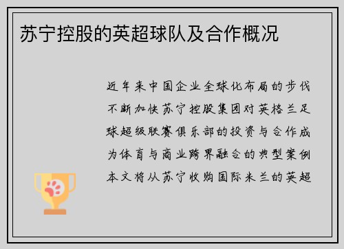 苏宁控股的英超球队及合作概况