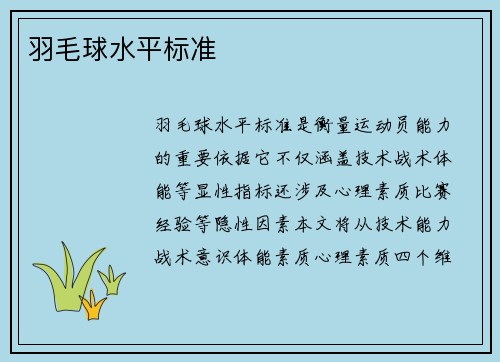 羽毛球水平标准